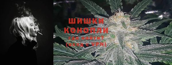 бошки Долгопрудный