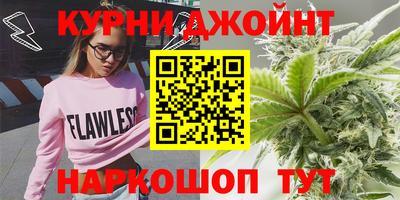 индика Ливны